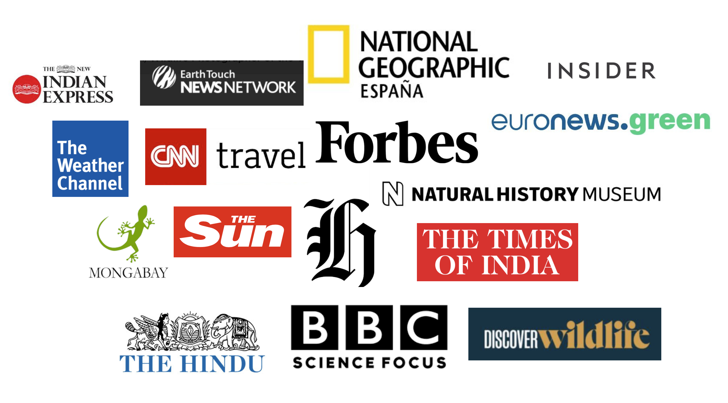 Screenshot 2025-07-26 at 4.01.10 PM